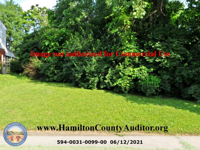 Photo 06/12/2021